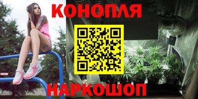каннабис Кингисепп