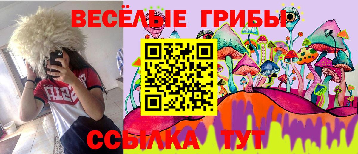 Коммунар  Псилоцибиновые грибы MAGIC MUSHROOMS  Вход с VPN  Псилоцибиновые грибы мицелий 